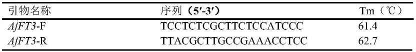 蜻蜓凤梨AfFT3基因、克隆方法、表达载体及应用