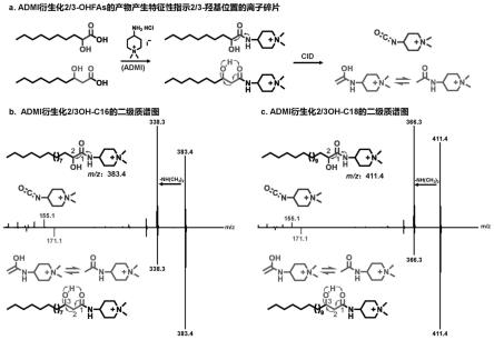 季铵盐类化合物或其盐及其用途，区分2位羟基取代脂肪酸和3位羟基取代脂肪酸的方法