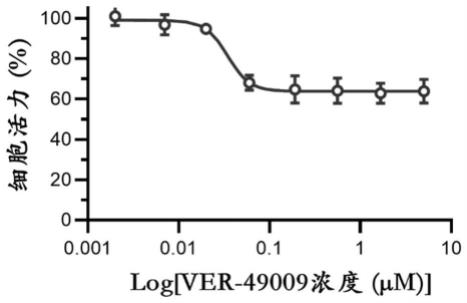 VER-49009在制备预防和/或治疗腺病毒感染的药物中的应用