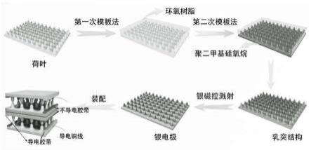 一种具有荷叶微结构多层柔性压力传感器的制备方法