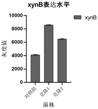 Ash1p作为负调控因子在提高宿主细胞中蛋白表达中的应用