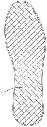 一种石墨烯多功能鞋垫及其制备方法与流程