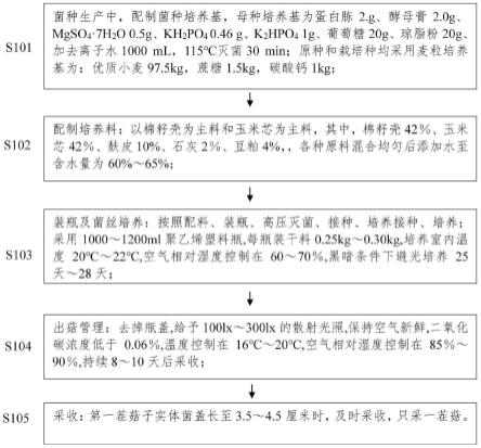 一种转基因平菇Pofst3+的栽培方法