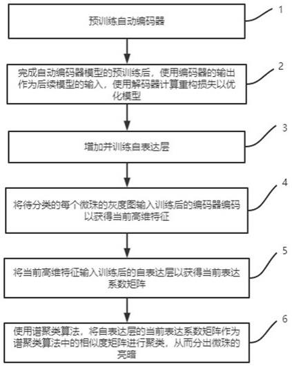 高密度基因芯片的微珠亮暗分类方法、终端和存储介质与流程