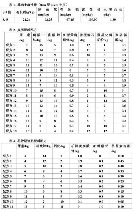 干旱区花生专用肥及使用方法与流程