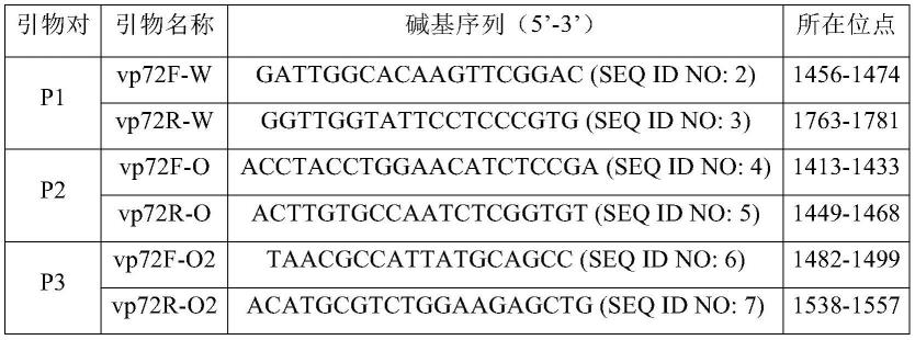 用于检测非洲猪瘟病毒的引物、试剂盒及方法