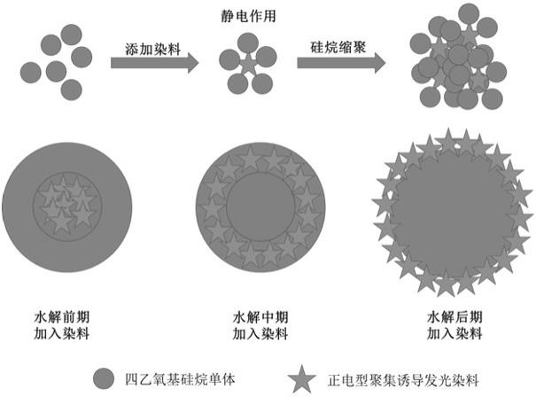 一种掺杂正电荷聚集诱导发光染料的纳米粒子及其制备方法