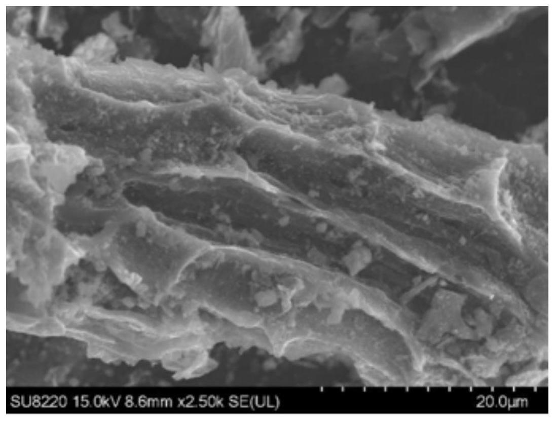 一种改性叶生物炭及其制备方法和应用与流程