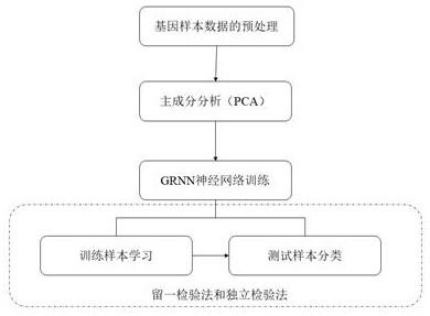 基于GRNN的肿瘤基因点突变特征图谱提取与分类方法