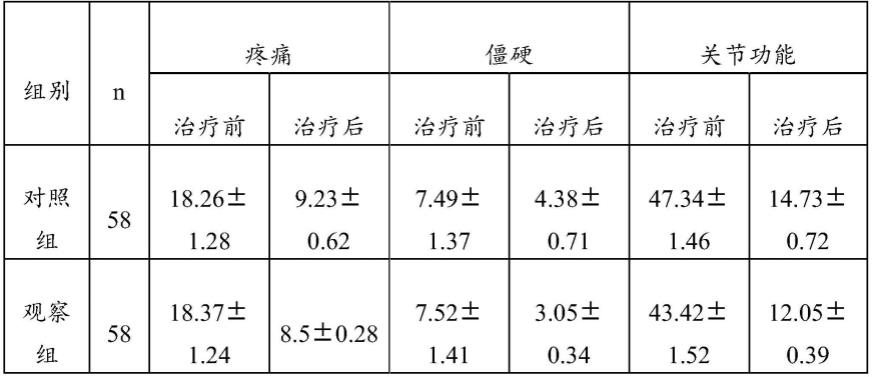 一种治疗膝骨关节炎的中药组合物及其制备方法与应用