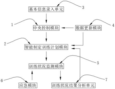 一种智能体育训练系统