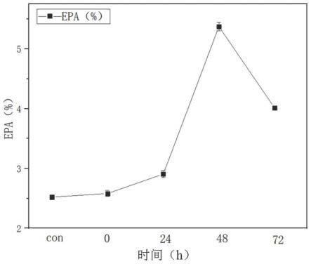 海藻酸钠和阿魏酸在提高产油微生物的EPA产量中的应用和微生物油脂的制备方法