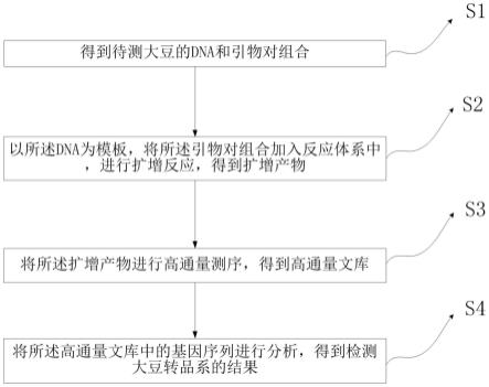 一种检测大豆转基因品系的引物对组合、试剂盒及检测方法