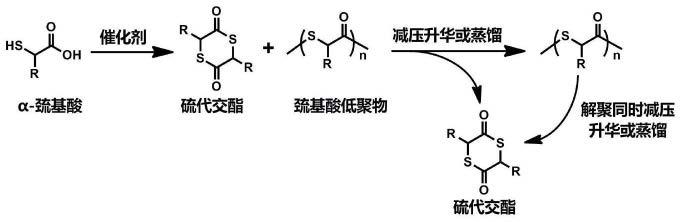 一种制备硫代交酯的方法