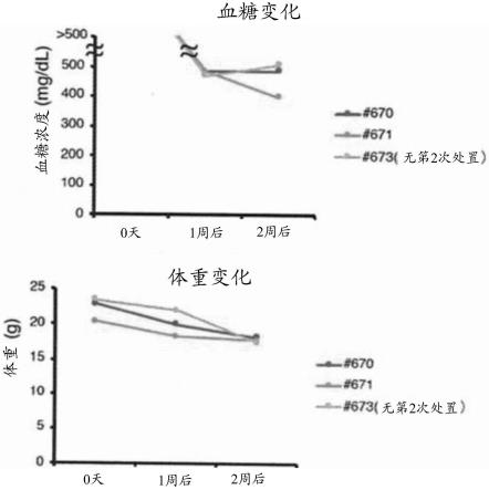 使用了干细胞迁移剂的糖尿病治疗的制作方法