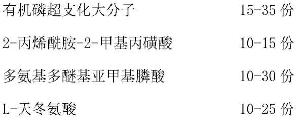 一种煤化工黑、灰水阻垢分散剂的制作方法