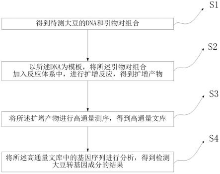 检测大豆转基因成分的引物对组合、试剂盒及检测方法