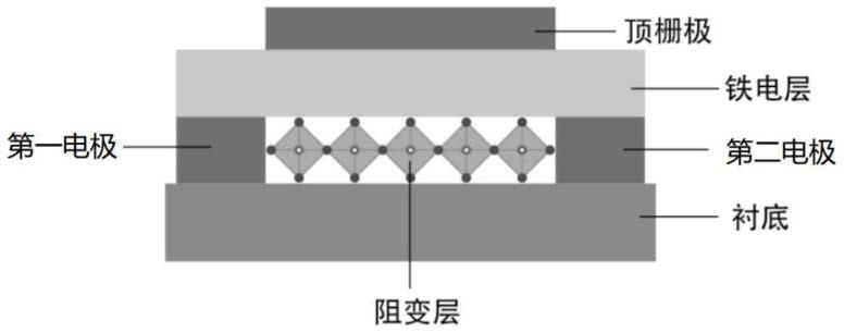 一种基于铁电顶栅的忆阻器及其制备方法与调控方法