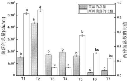 一种厨余垃圾腐熟降解菌剂及其应用