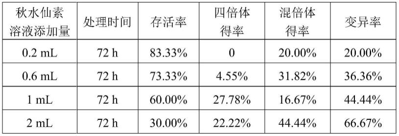 一种适用于芳香药用植物牛至多倍体诱导和培育的方法