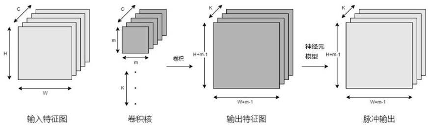 脉冲神经网络硬件加速器及其在卷积运算中的优化方法