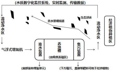 數字化池塘循環水高效健康養殖與尾水綜合治理系統的製作方法