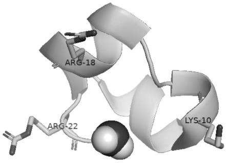 一种靶向钠离子通道蛋白Nav1.4的新型多肽NaV-B及其应用的制作方法