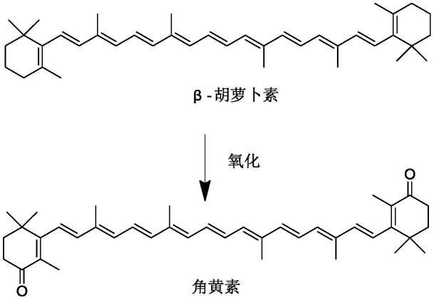 一种β-胡萝卜素一步氧化制备斑蝥黄的方法与流程