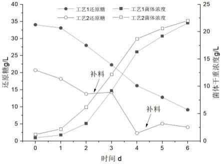 一种食用菌菌丝体连续发酵方法