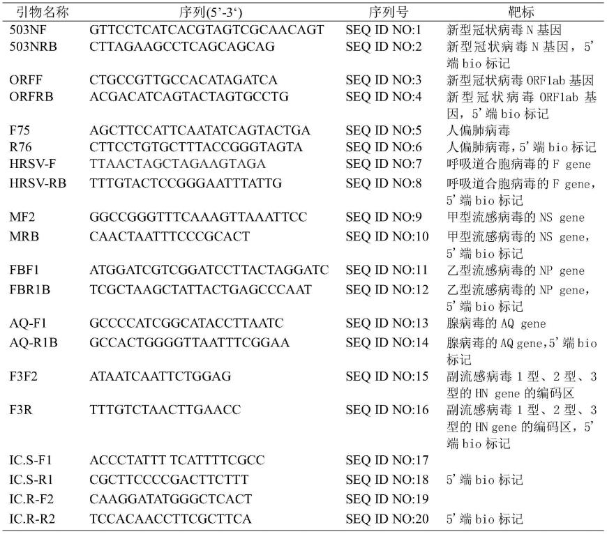 同时检测九种呼吸道病原体的基因芯片及制备和使用方法