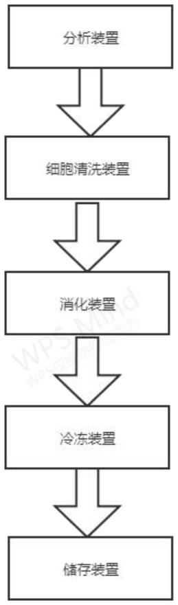 一种优化细胞保存的细胞储存装置和细胞存储方法与流程