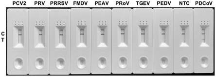 检测PDCoV的RT-RAA-LFD引物对、探针、试纸条、试剂盒及其应用