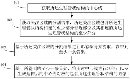 一种生理管状结构的图像处理方法、装置及存储介质与流程