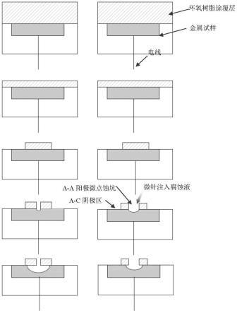 一种研究不锈钢材料耐点蚀性能的方法与流程