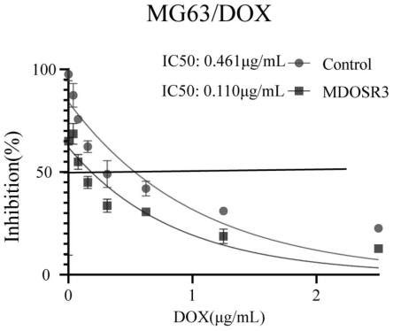 一种多肽MDOSR3及其合成方法与应用与流程