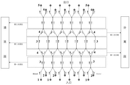 具有并行结构的无膜透析微流控芯片