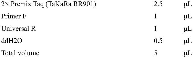 一种荷包红鲤CRISPR/Cas9基因编辑方法