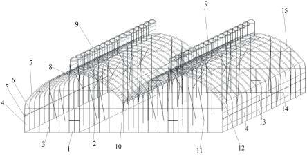 防兜水温室拱棚结构的制作方法
