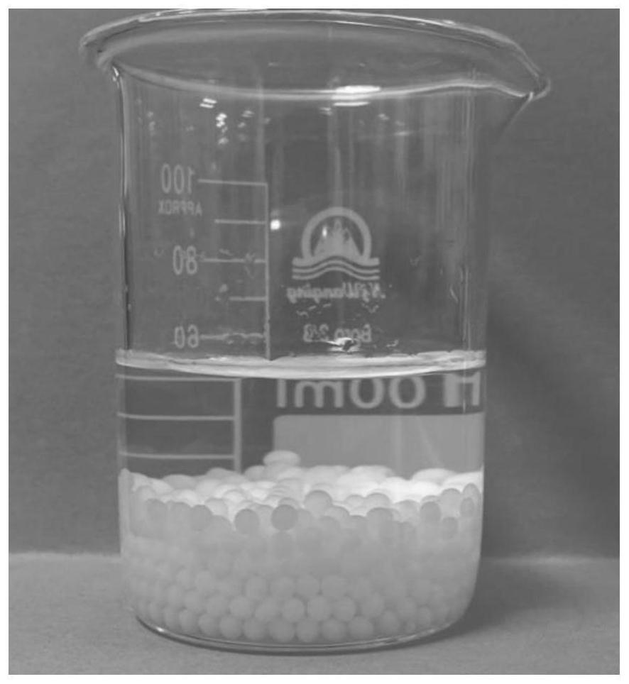 一种海藻酸钙小球的制备方法及其应用