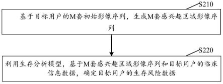 一种风险评估方法及装置、存储介质及电子设备与流程