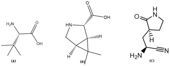 （S）-2-氨基-(S)-3-[吡咯烷酮-2’]丙氨酸衍生物及中间体的制备方法与流程