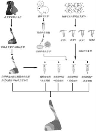 一种软骨支架的构建方法