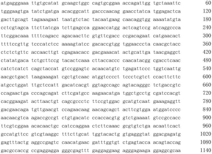 长牡蛎β-tubulin基因的电穿孔基因编辑方法及应用