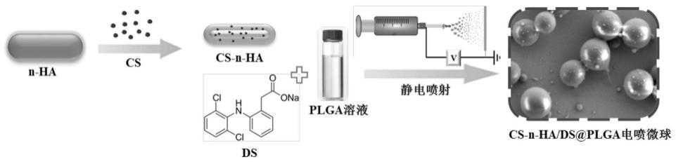 一种梯度缓释型载药微球及其制备方法