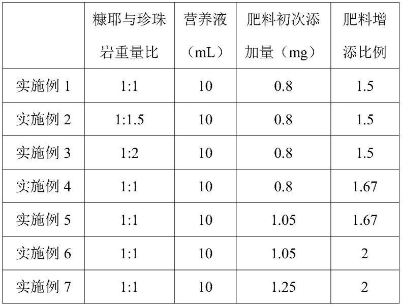 思茅松育苗方法与流程