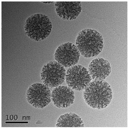 一种负载抗生素的阳离子型介孔二氧化硅纳米材料及其制备方法与应用