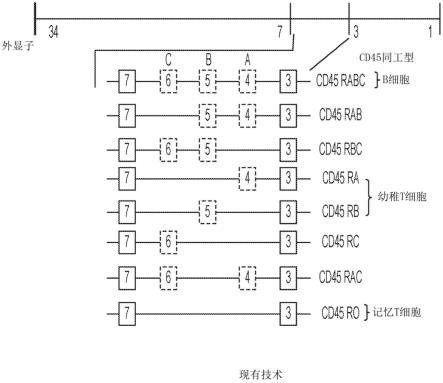 抗CD45免疫球蛋白的放射性标记及其使用方法与流程