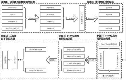 用于预测蛋白质翻译后修饰位点的深度学习方法