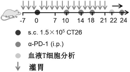 用于提高免疫疗法和疫苗功效的组合物和方法