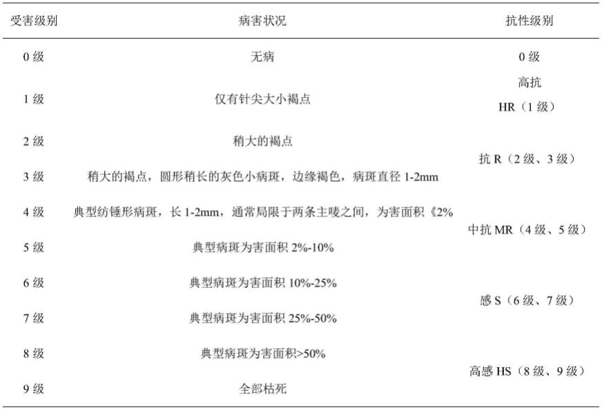 一种水稻稻瘟病抗性鉴定方法